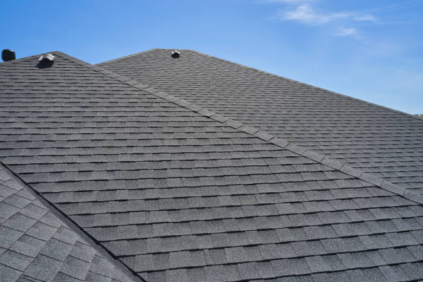 Best Roof Insulation Installation  in Wade Hampton, SC